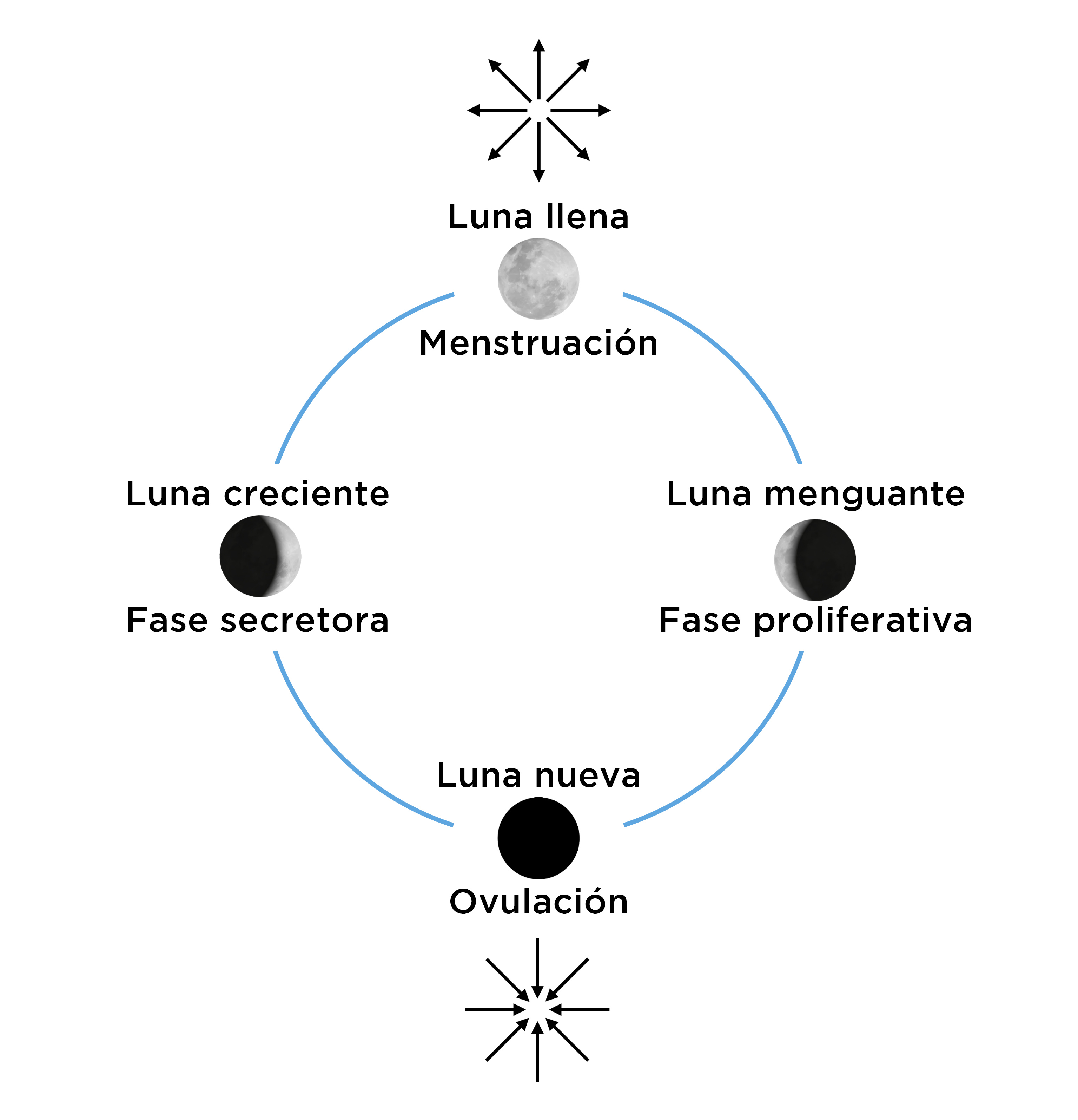 La menstruación y la luna
